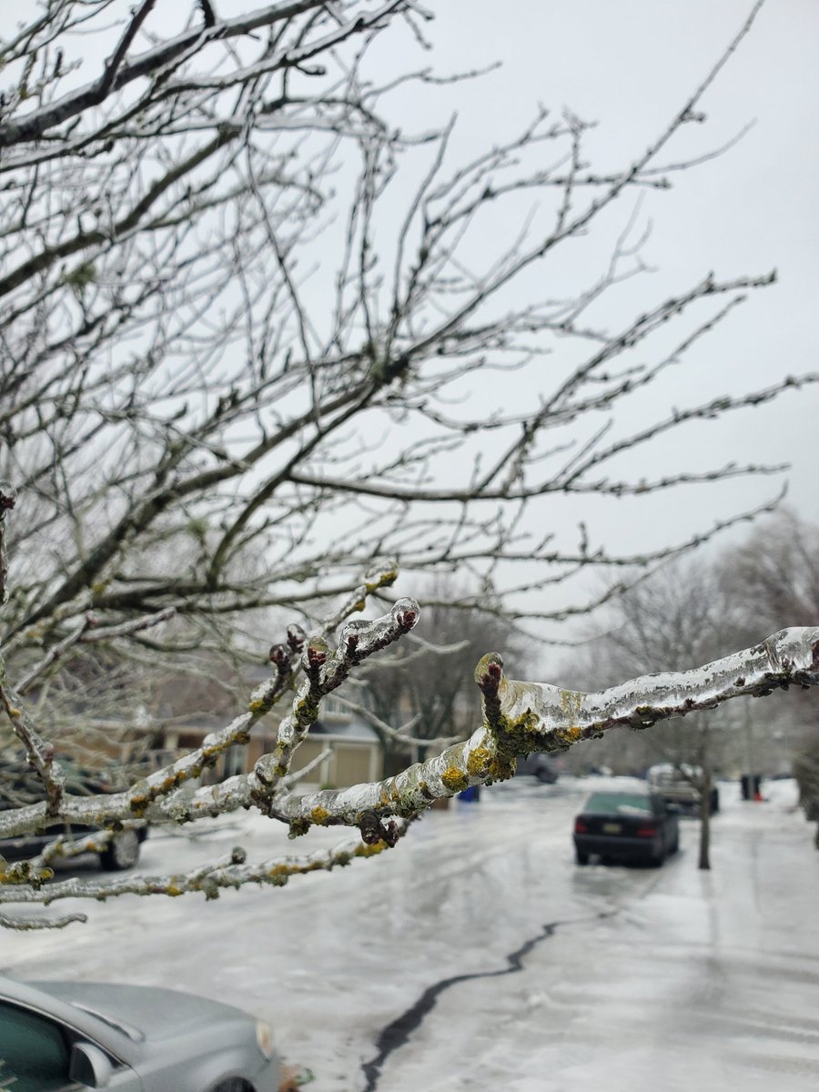 chriscabe3's tweet image. #IceStorm #greshamOR #orwx @KOINNews @NatashaKOIN6 @JoshCozartWx @KelleyKOIN