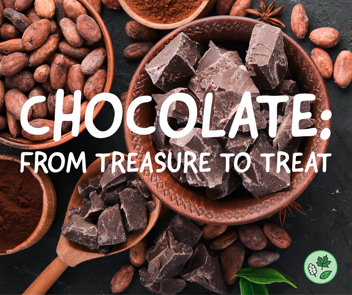 Junior students learned some amazing facts about cacao trees with <a href="/RBGCanada/">Royal Botanical Gardens</a> today!

🍫 Residents of Switzerland eat more chocolate on average per year than any other country.
🌍 Africa grows about 74% of the world's cacao.
💰 Cacao beans were used as currency in Central America.