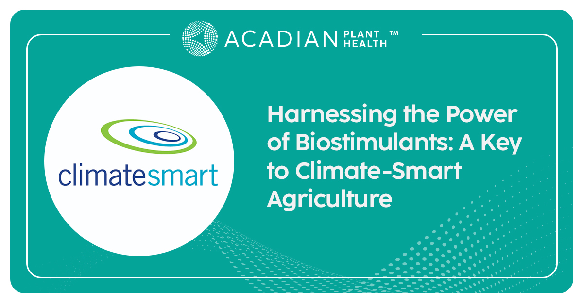 You may have heard the term ‘Climate-Smart Agriculture’. It’s an approach to #agriculture that helps the ag industry adapt to climate change while at the same time increasing productivity and reducing greenhouse gas emissions. Find more info here: bit.ly/48DqDSt