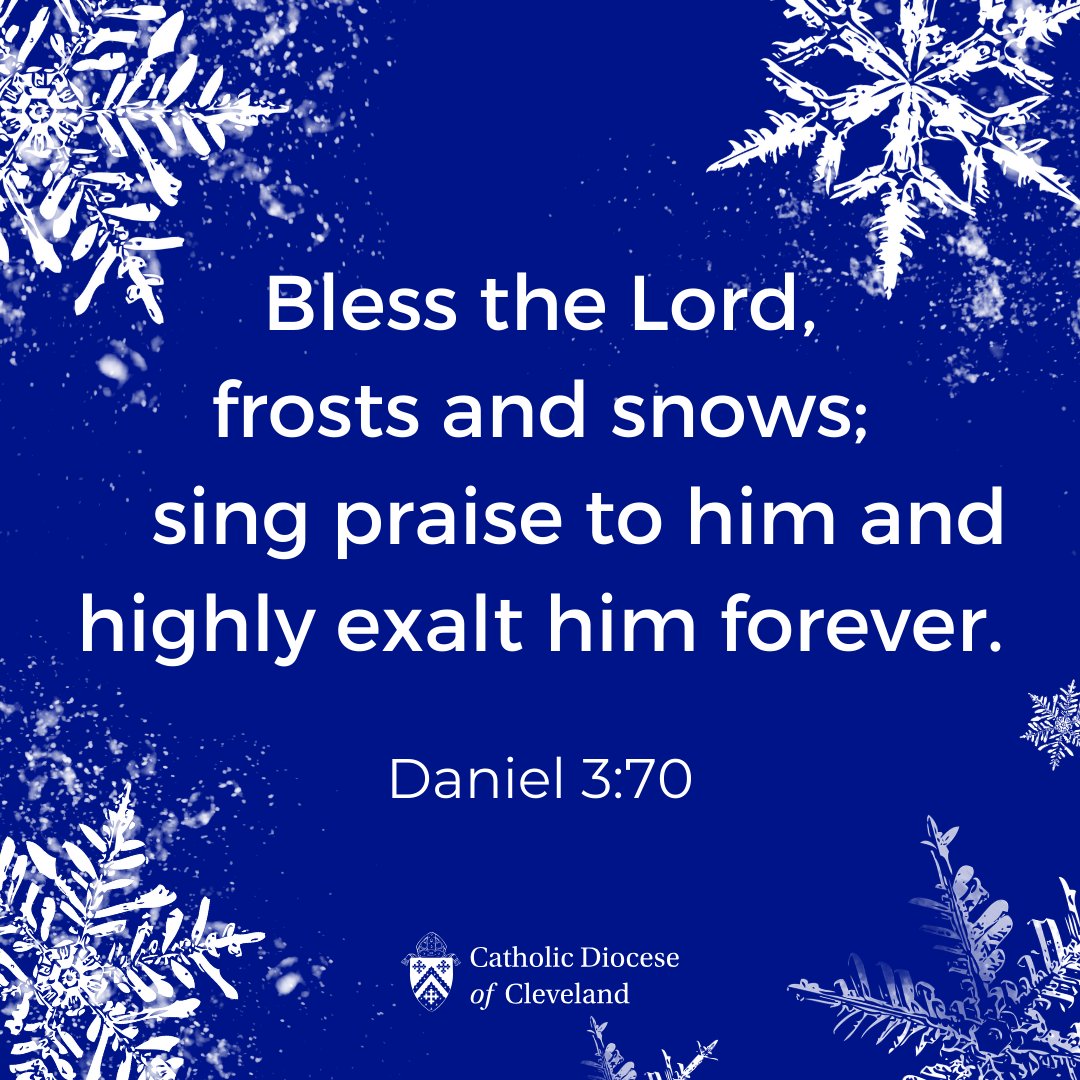 DOCCatholicSchools tweet media