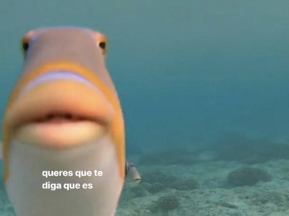 Noctix19's tweet photo. Auron: Me queréis tirar de la lengua pero no vais a poder, no me vais a sacar nada 

También Auron: https://t.co/6IranPOuQY