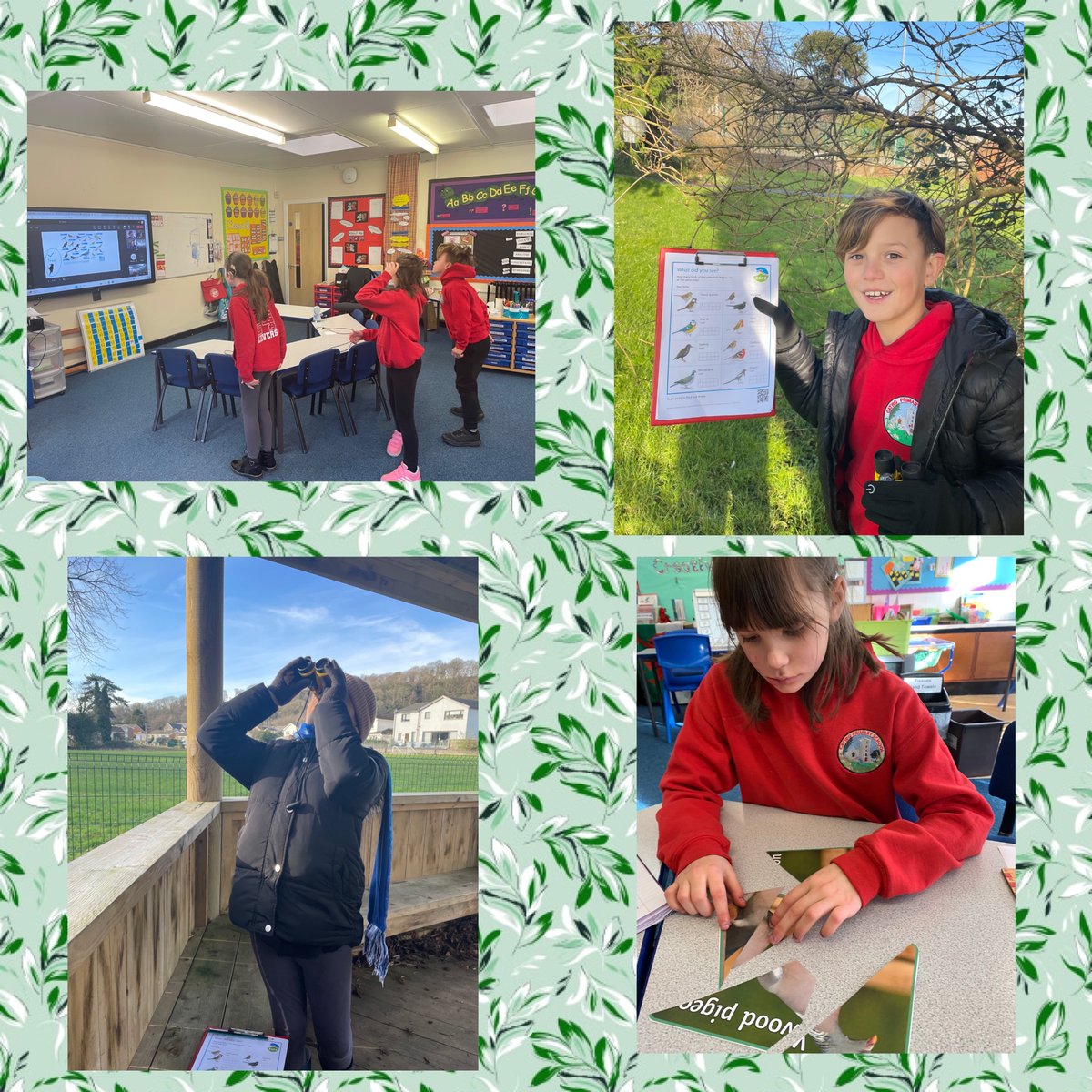 Class 8 had a great day learning about birds and then taking part in the Big School Birdwatch <a href="/EcoSchoolsWales/">Eco-Schools Wales</a> #CatwgEco
