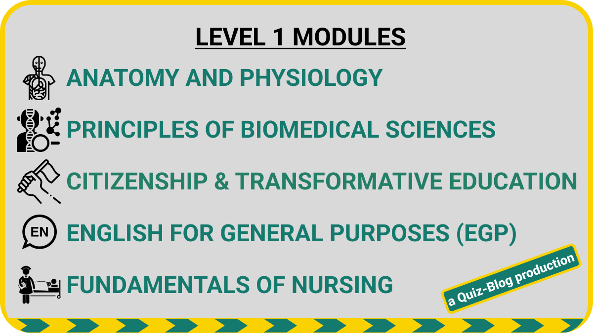 QuizblogRw's tweet image. Unlock your full potential as a nurse or a student! Get access to all nursing #learningmaterial and #quizzes from any module on Quiz-Blog. Elevate your career to new heights with our online learning platform. Join us today! 
#NursingEducation 

Check out: quizblog.rw