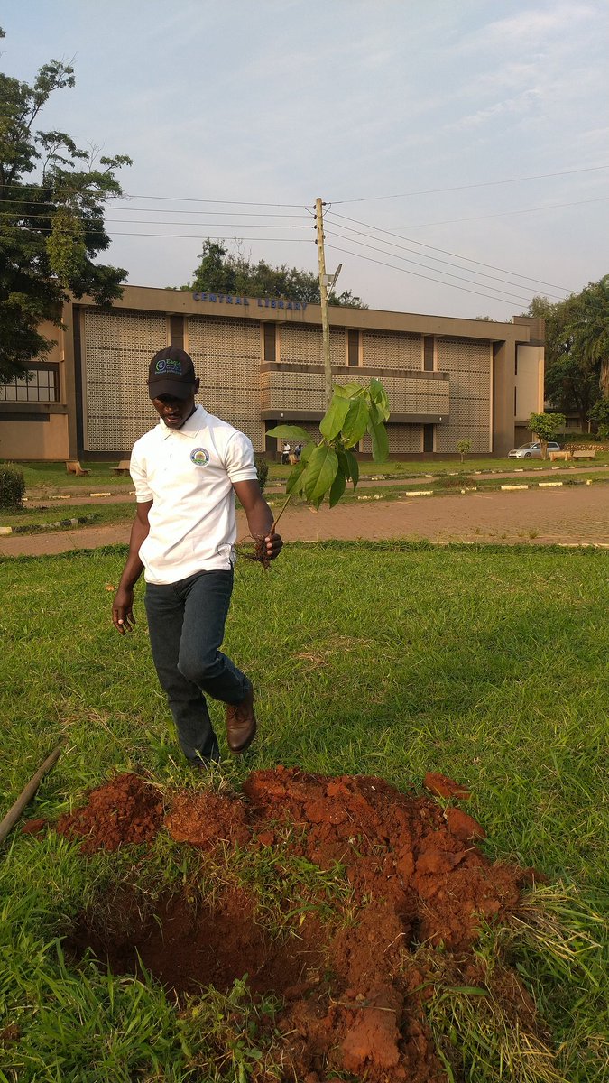 Greening Kyambogo university the more💚🌱
@kyambogou 
@KyambogoGuild