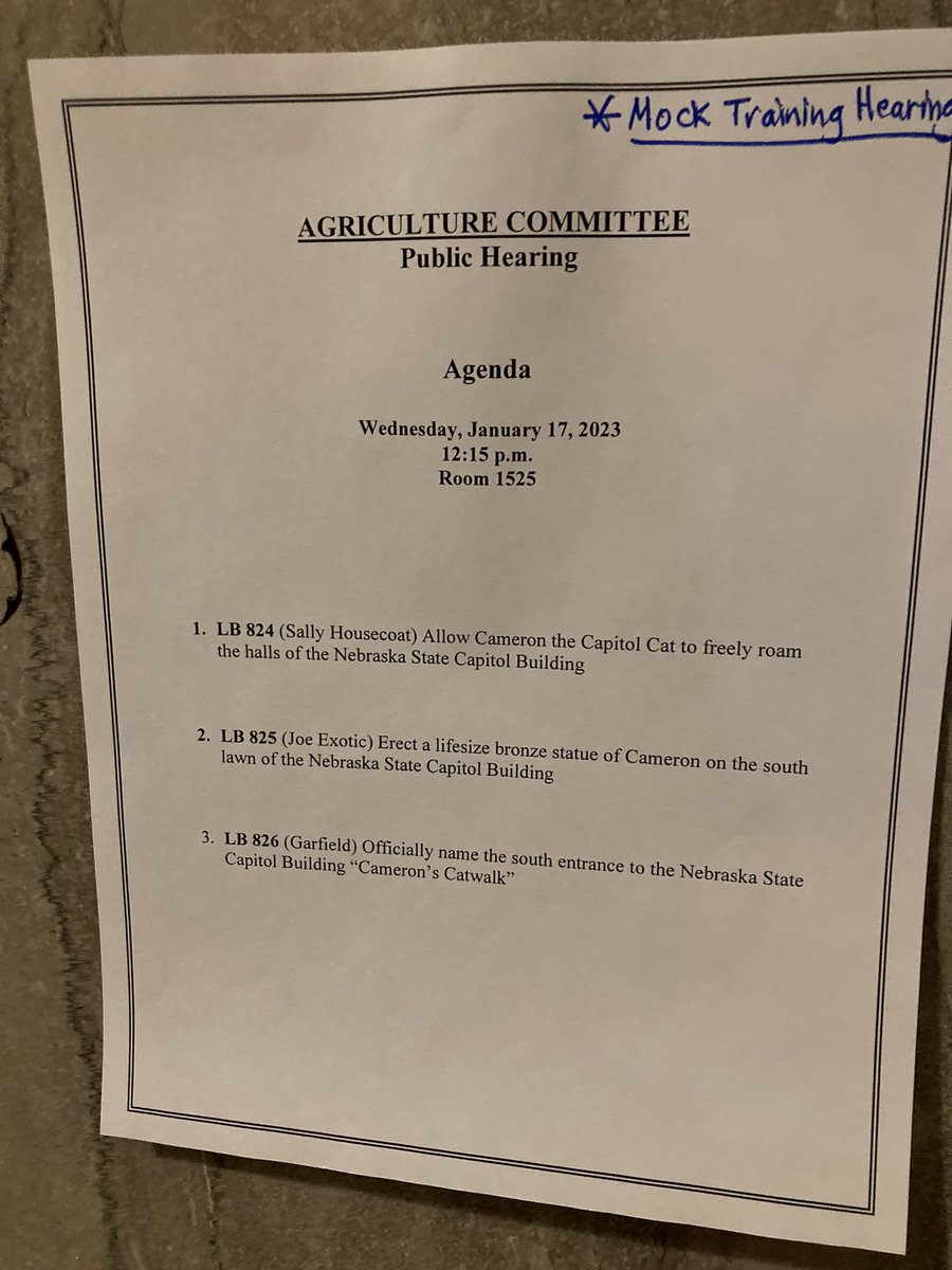 Martha Stoddard tweet media