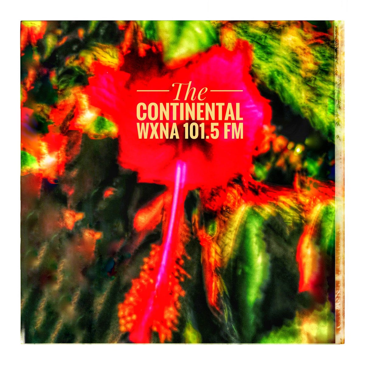 rhatfink's tweet photo. Get thee behind me, old man winter! Time to warm up with DJ rhatfink on The Continental Hawaiian Getaway Thursday morning starting at 7am only on @wxnafm 101.5, online at https://t.co/kaREuizCnm or streaming later in the archive. #aloha https://t.co/zF2hCgSlog