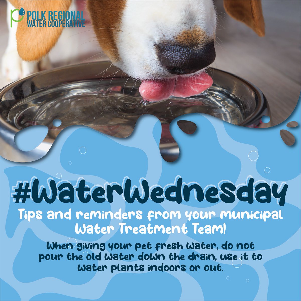 Polk Regional Water Cooperative tweet media