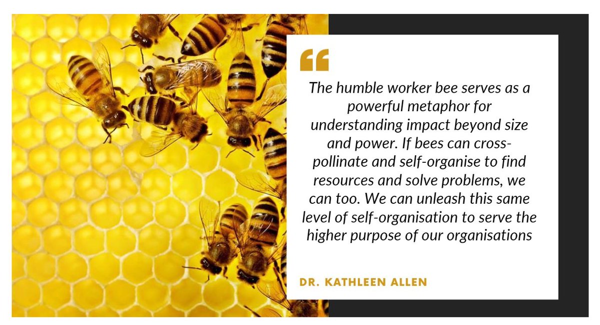 In praise of "worker bees" in organisations &amp; in nature. They keep the system going. Hierarchical structures often fail to recognise the impact of small-scale contributors. We need to acknowledge that “smaller” players are critical to the health &amp; resilience of larger