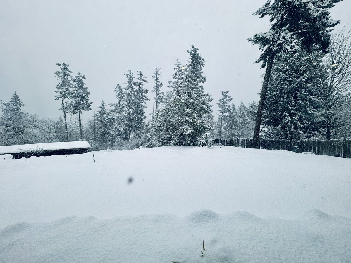 Just a light dusting here on #OrcasIsland today. #snow #snowday #wawx @NWSSeattle