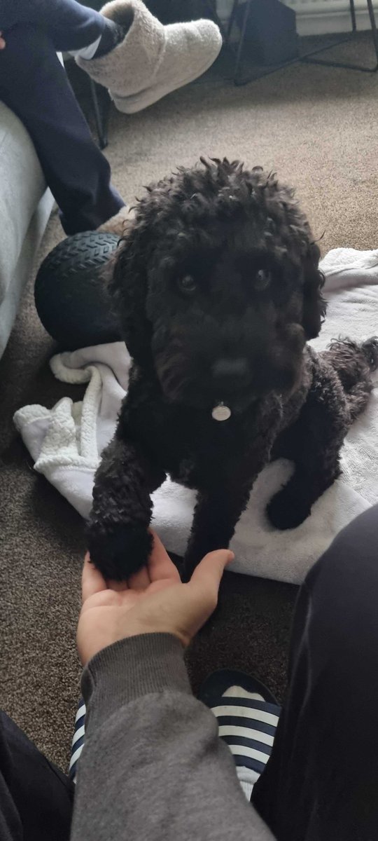 Danny Mulcahy ⚽️🍔🍣 tweet media