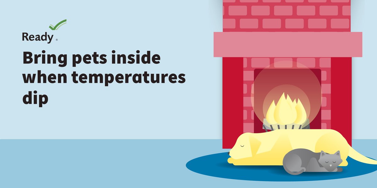 Brrrrrr it's cold outside! Make sure your pets stay warm: - Bring them indoors. - If you have a dog, wipe their paws after walks. - Bundle them up to keep them warm. #WinterReady