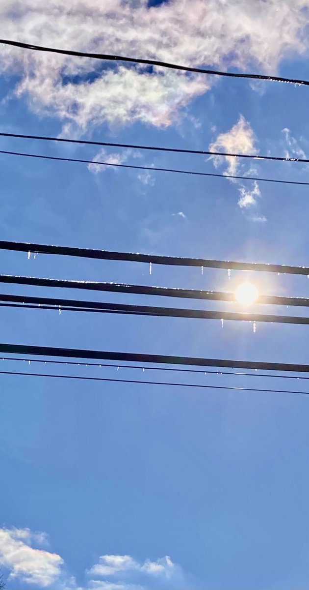 Allone34789's tweet photo. #Nature #NatureLovers
#NaturePhotography
#Naturephotography
#photography #Photography 
#nature #naturelovers
#sky #telephonewire
#outside #Wednesday
#sun 
#bluesky https://t.co/ByT8IHw7Hf