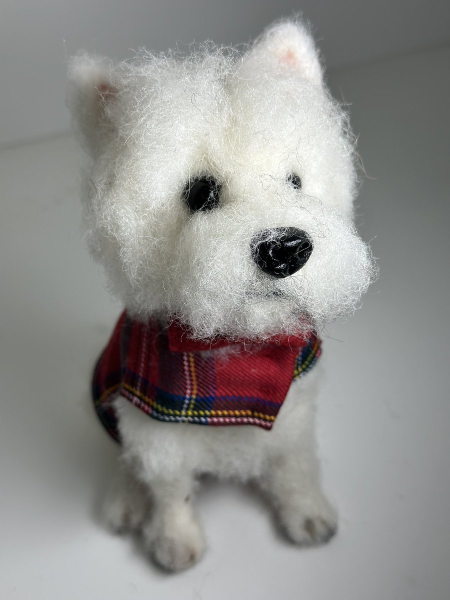 A wee needle felted Westie and his tartan coat!