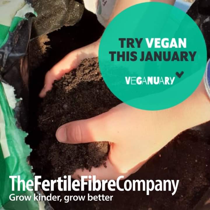 As producers of Vegan Compost we are supporting #Veganuary! Our #Vegan range of composts is suitable for anyone growing to Vegan standards. Why not try growing with #VeganCompost in 2024! 🌱 More info here fertilefibre.com/compost/vegan-… #Veganuary2024 #Veganuary #FertileFibre