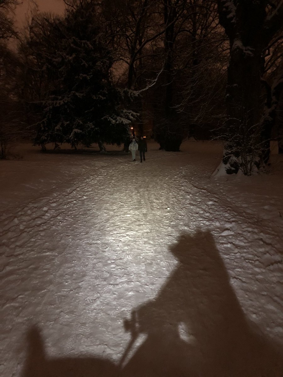 UCycliste's tweet photo. Retour sur la neige ❄️ 🥳! Par les bords de Deule et la Citadelle !
Poke @harrivaarala !
#Bullitt #LarryVsHarry #lille #neige https://t.co/kxycVEJBcy