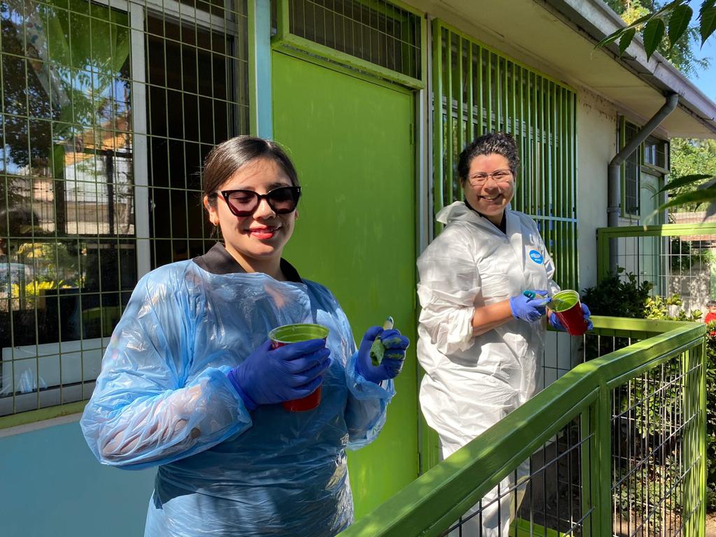 Hoy tuvimos la participación de un equipo de voluntarios de la <a href="/autonomadechile/">Universidad Autónoma de Chile</a> quienes nos eligieron como aliado para iniciar su #voluntariadocorporativo. La actividad consistió en un mejoramiento de pintura exterior en el jardín infantil Campo Lindo de la comuna de Pudahuel🫶
