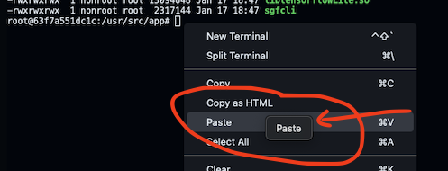 DougTheDev's tweet image. #devcontainers on #GitHub #codespaces sometimes get on my nerves, why do I need to tap 2 times to paste something 😡!!!!!