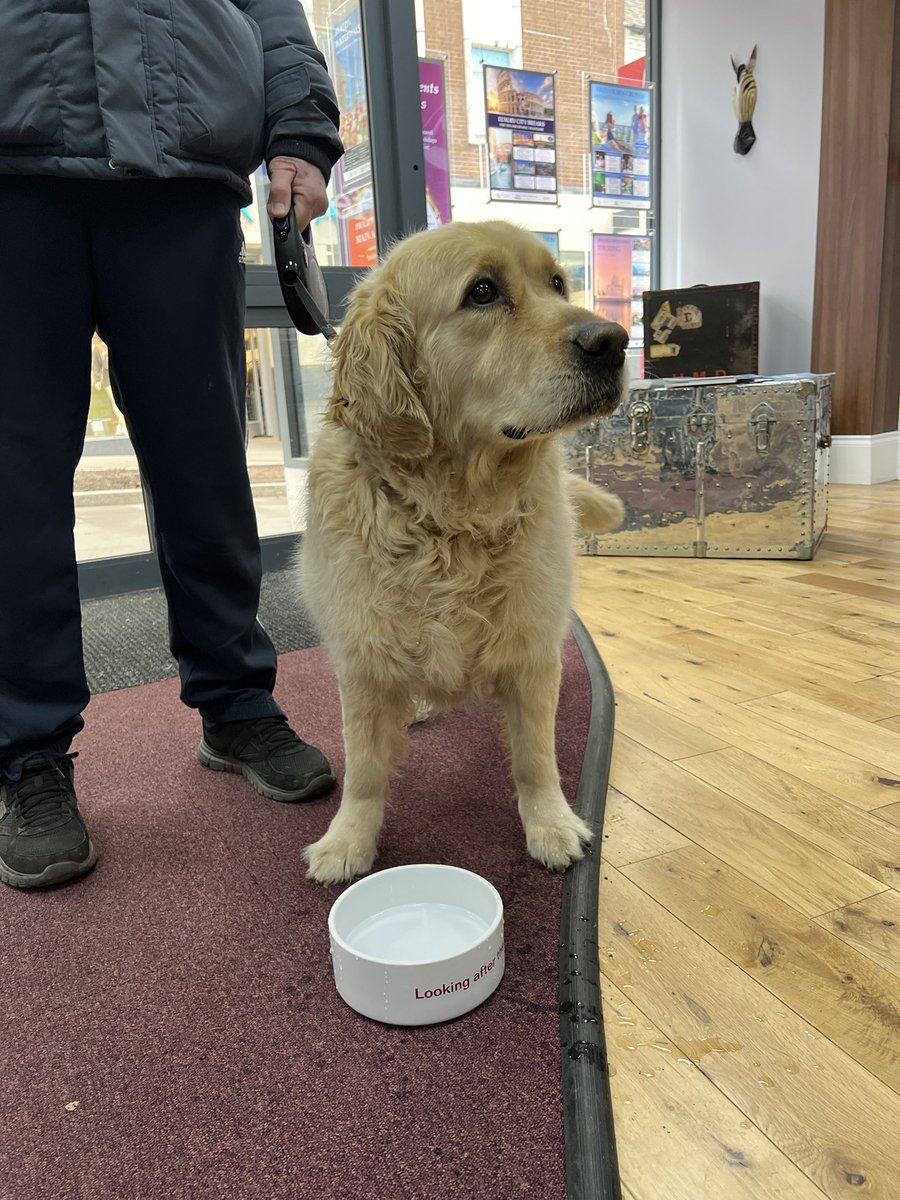 Love this time of year in the travel industry. Out visiting shops, staff buzzing and customers plentiful and excited to be booking. Made plenty of teas and coffees, filled our dog bowl for Charlie and even fixed a toilet. Love it!!!