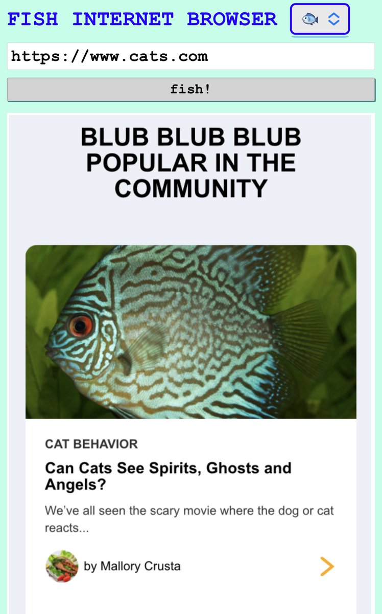 Lauren Zhang tweet media