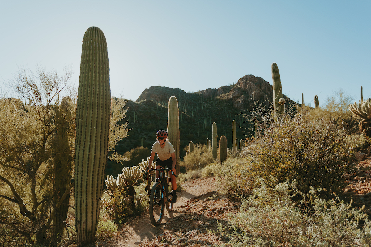 Winter months are a time for dreaming, planning, and filling in the calendar for the upcoming year ✍️. Jumpstart your planning with five PRIMO Southwestern desert routes! ridewithgps.com/journal/9504-t…