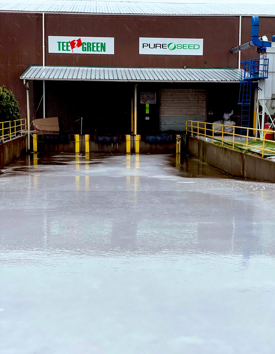 Pure Seed tweet media