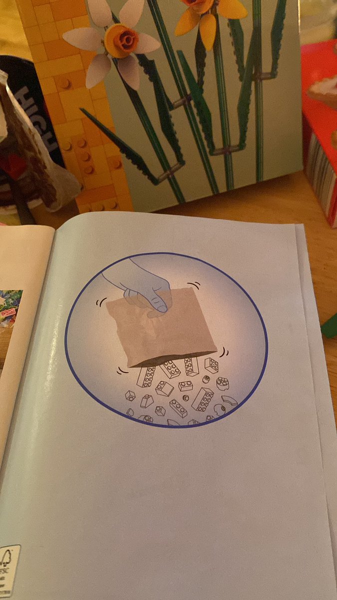 dipsy607's tweet photo. Putting together some Lego flowers and the first instruction is to just tip all the bags out??? That’s not how I roll please I like to be organised https://t.co/TCUVx1p3os