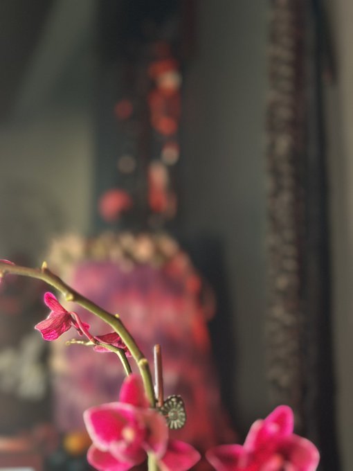 Mistress Jennifer Hex’s pics and videos