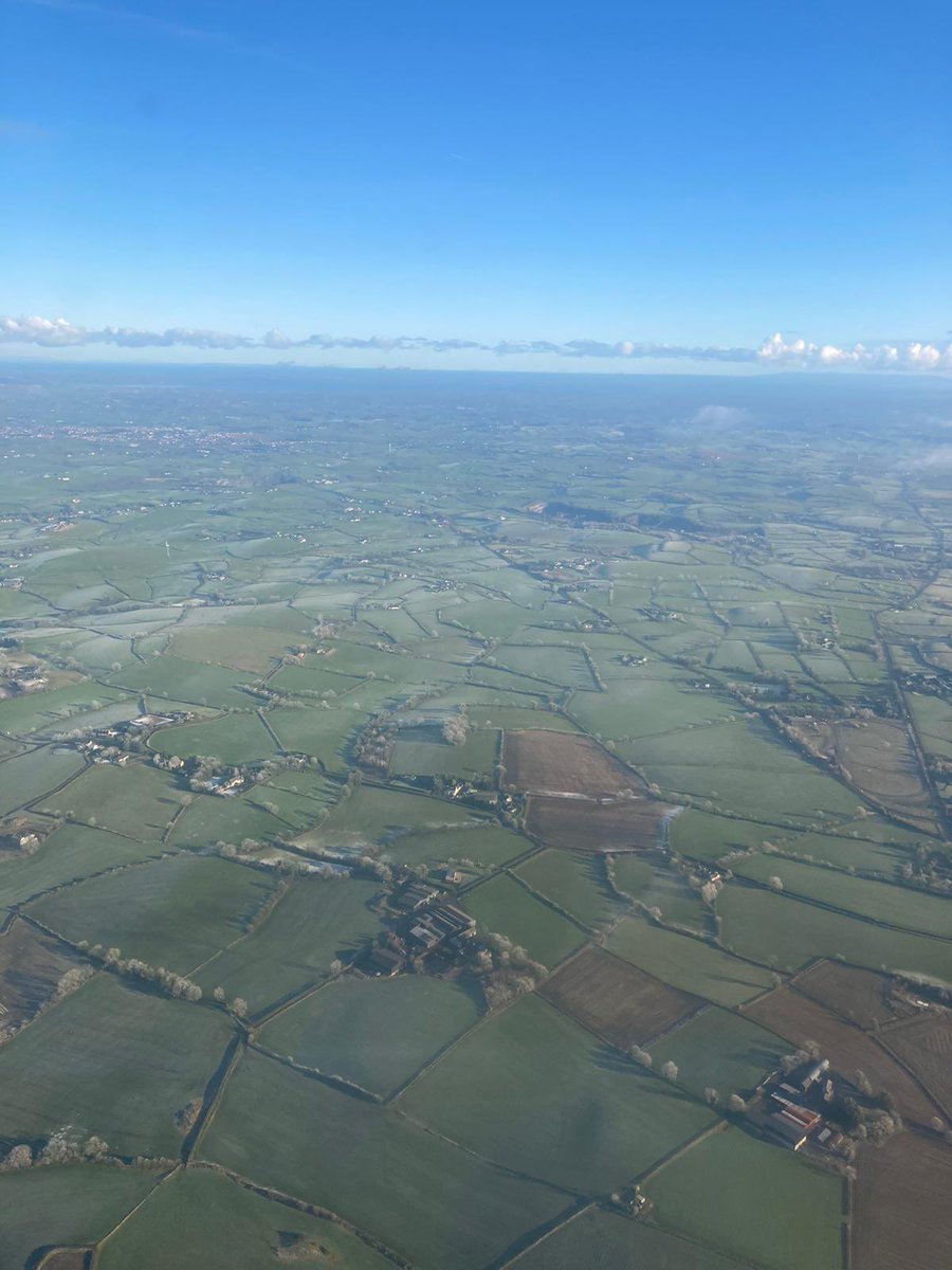 Cesca Kirtley-Paine tweet media