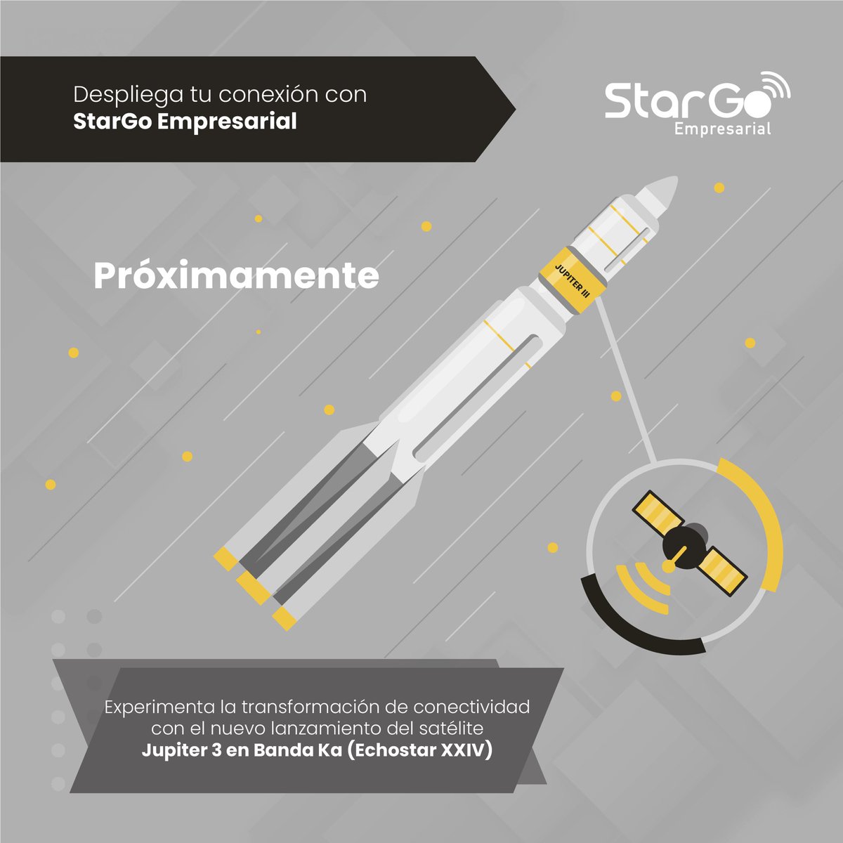 stargoempresarial tweet media