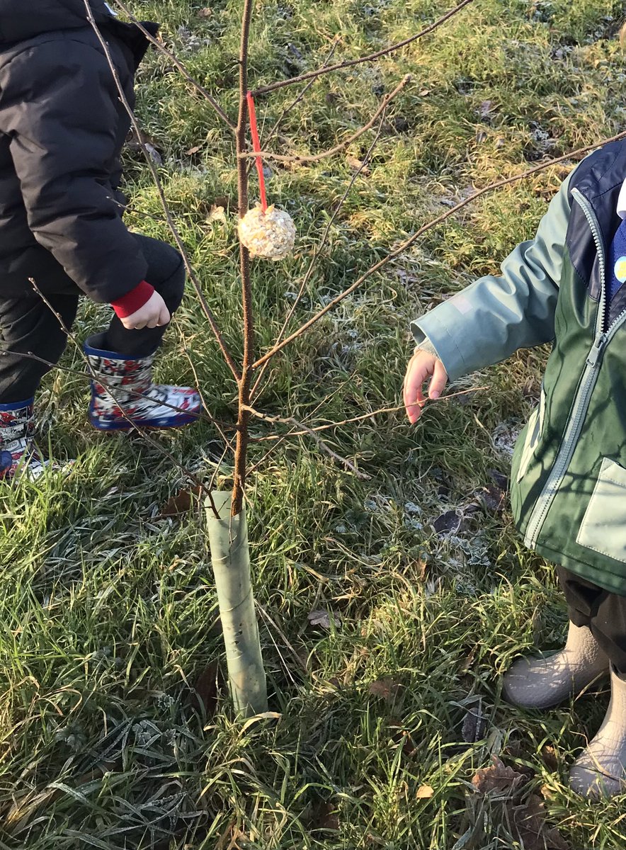 Diane (@diane90310238) on Twitter photo This is the way we learn outdoors on a cold and frosty morning 🎶
<a href="/richardsoneps/">Richardson Endowed Primary School</a> <a href="/embarkfed/">Embark Federation</a> Class R This is the way we learn outdoors on a cold and frosty morning 🎶
<a href="/richardsoneps/">Richardson Endowed Primary School</a> <a href="/embarkfed/">Embark Federation</a> Class R