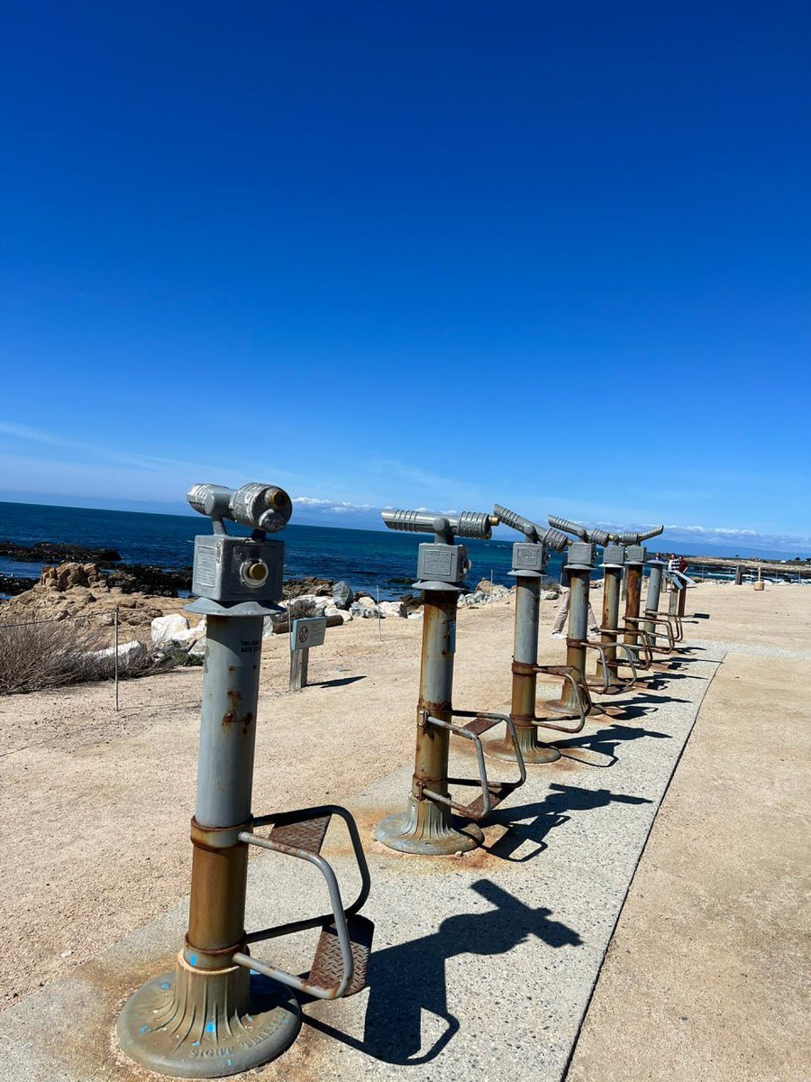 Emily_Apei's tweet photo. pescadero point https://t.co/8dpo7q5M29
