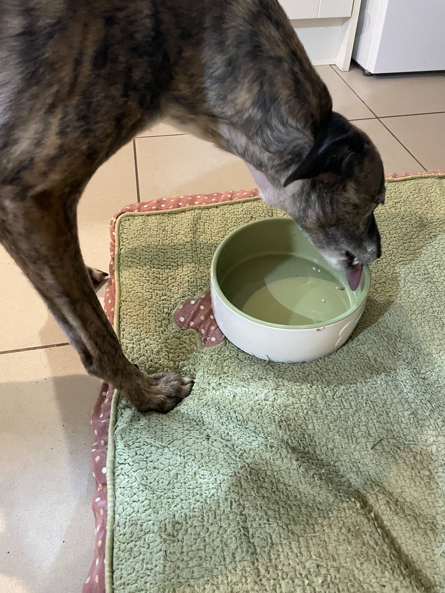 There’s always a last few morsels…