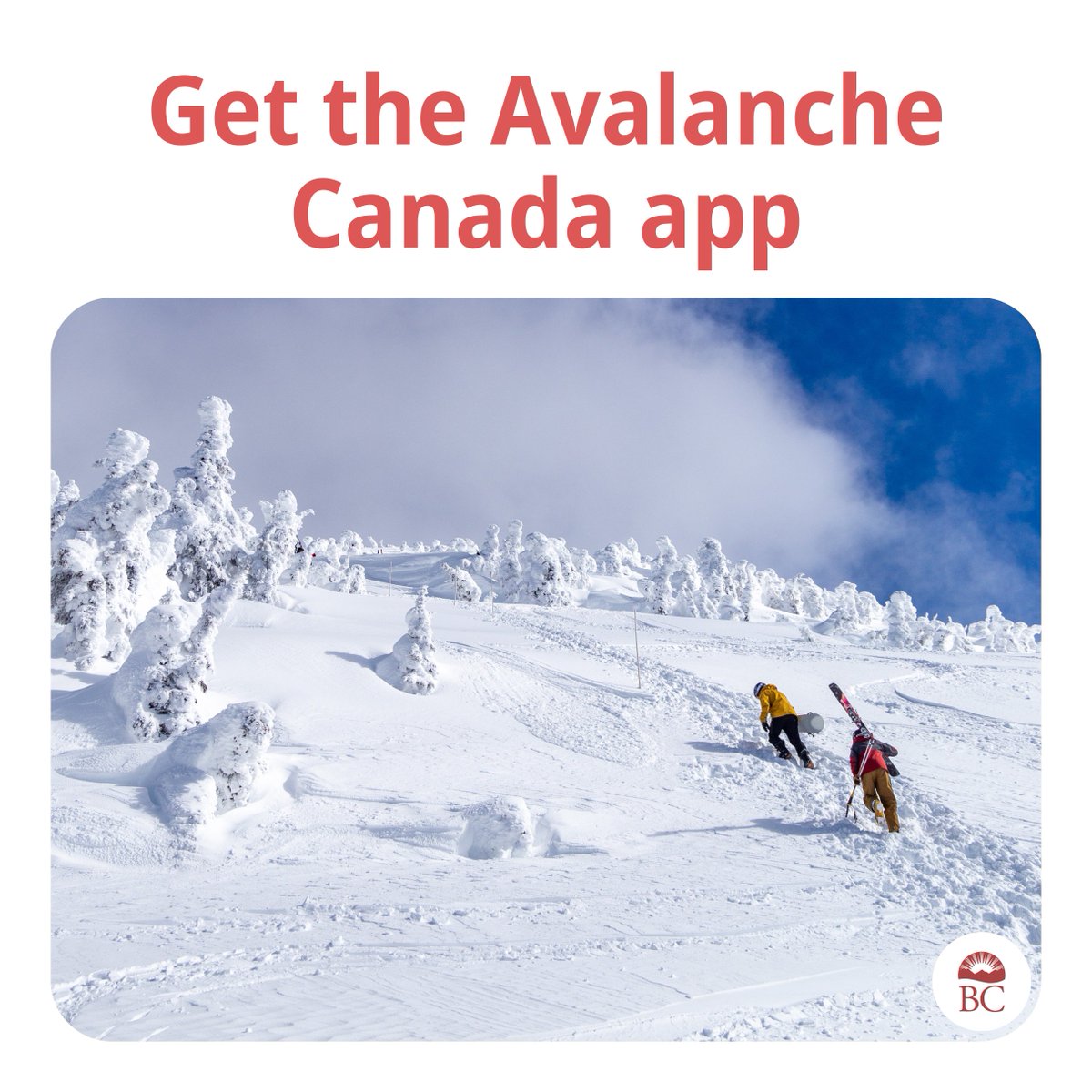 Avalanche Season is here. Be informed of avalanche risk and stay safe. • Check the latest avalanche forecasts before planning your trip: avalanche.ca • Get the Avalanche Canada app to check conditions on the go If conditions are severe, consider delaying your trip.