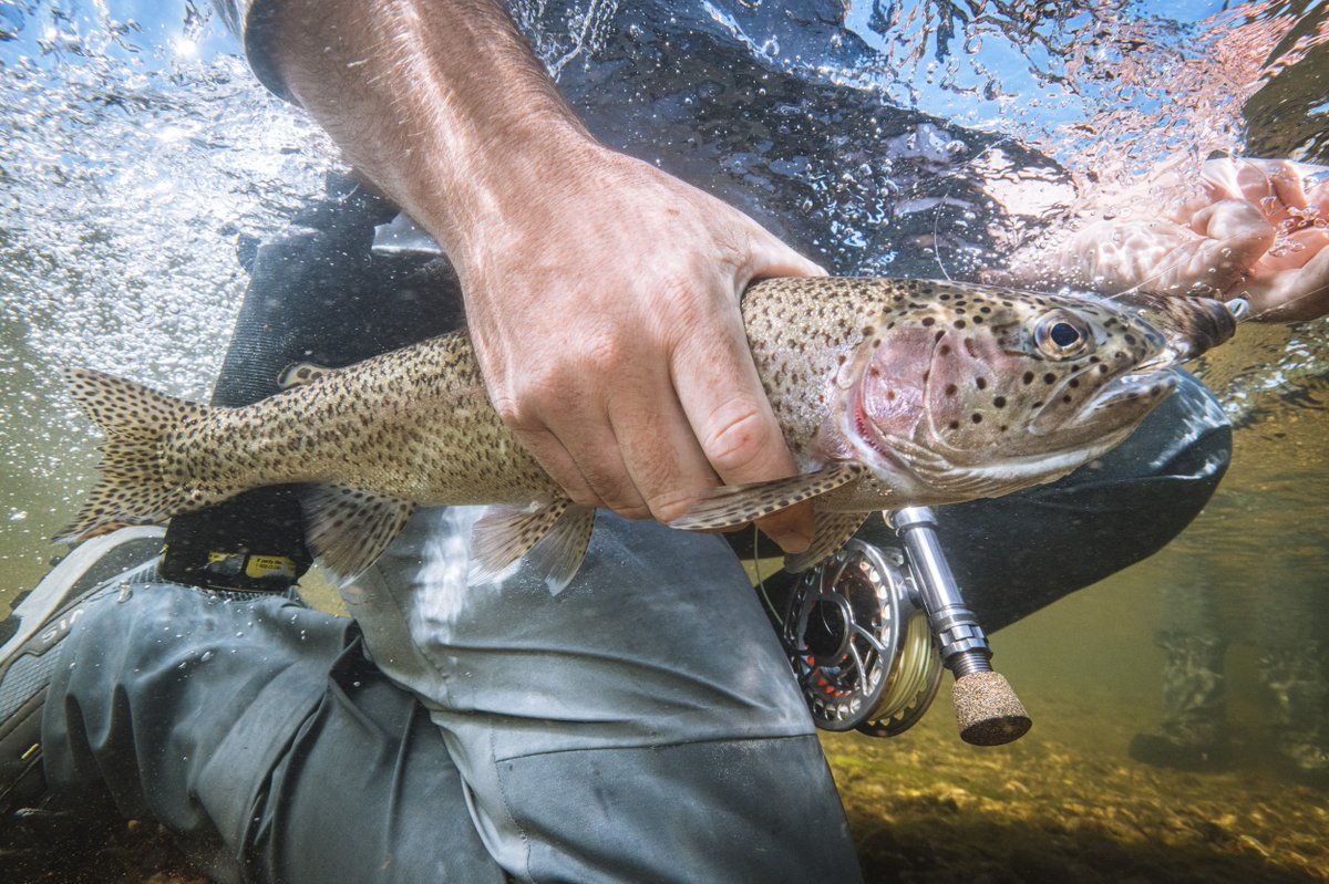 USU Campus Rec tweet media