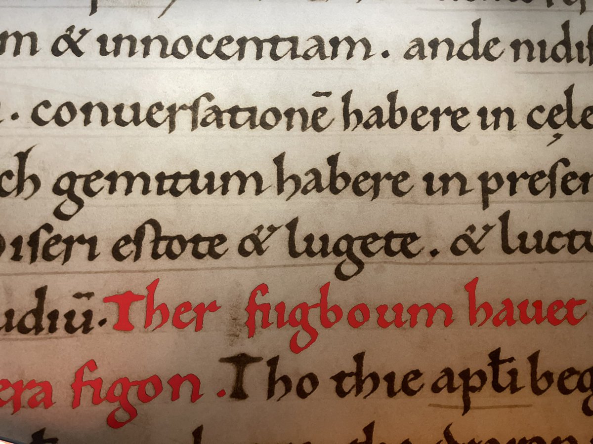 virginiablanton's tweet photo. Early Dutch @ The year 1000 https://t.co/MlTGpDDn91
