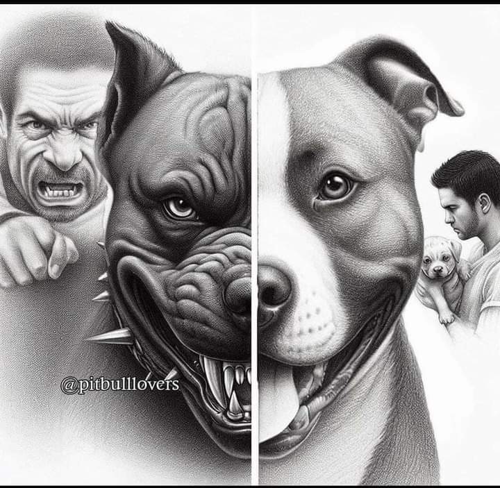 No hay perros malos, sino malos dueños.