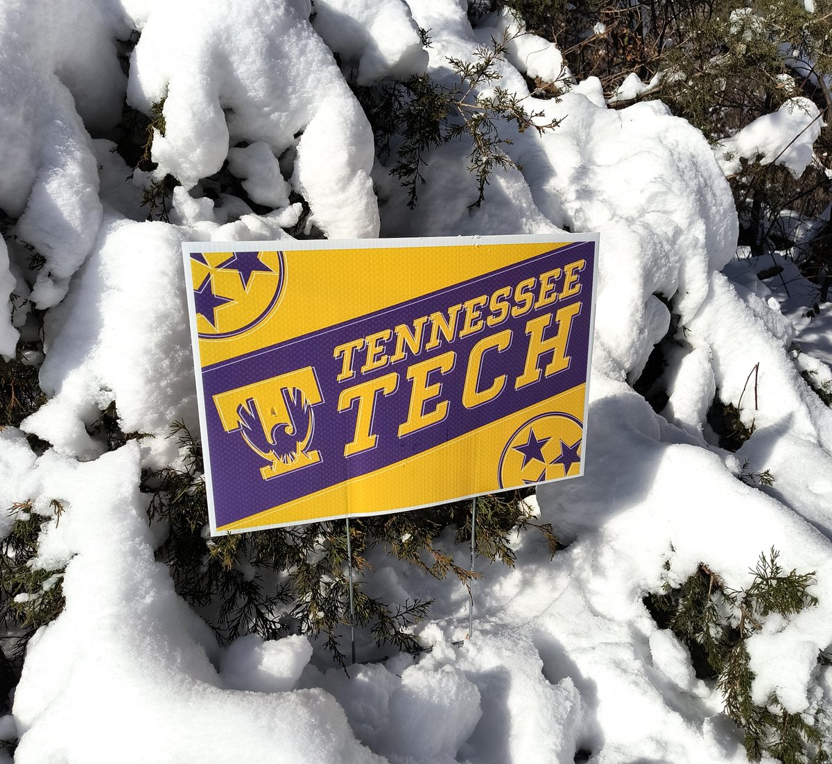 It may be sunny out, but it's still too snowy to safely return to campus. Tennessee Tech is closed today and will remain closed on Thursday. We are still proudly showing our purple and gold pride though, and we hope all of you are safe and warm! #tntechme