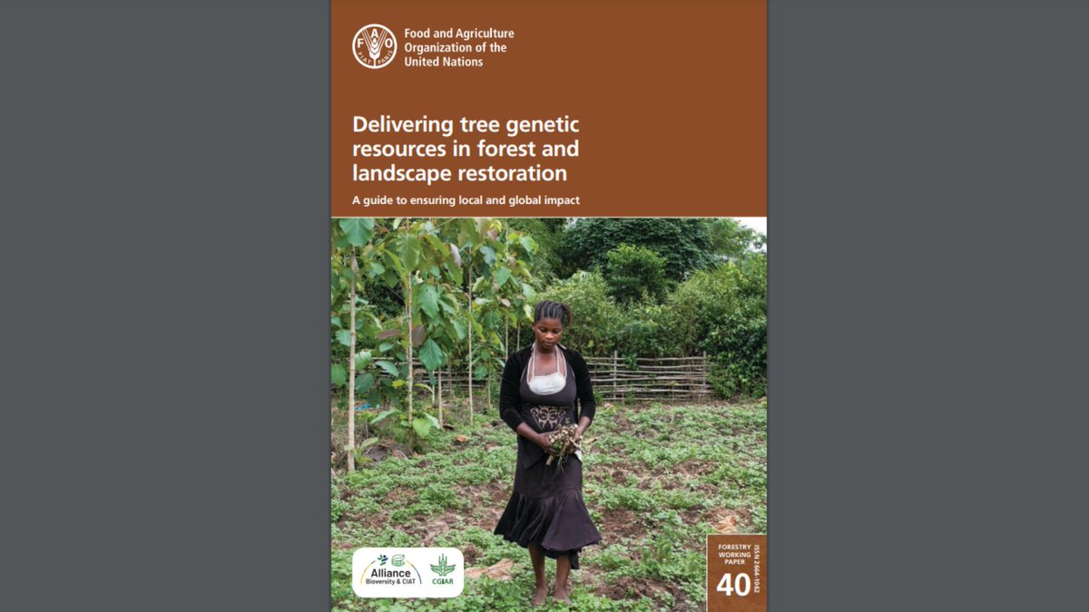BiovIntCIAT_eng's tweet image. 📣 #Landscaperestoration relies on #biodiversity of tree species. 🌳❓ Yet, how do we ensure availability of seeds to meet global #forest restoration targets? 🧐 Explore this joint paper with @FAO @FAOForestry for ways forward! 👇 #GenerationRestoration 
fao.org/forestry/news/…