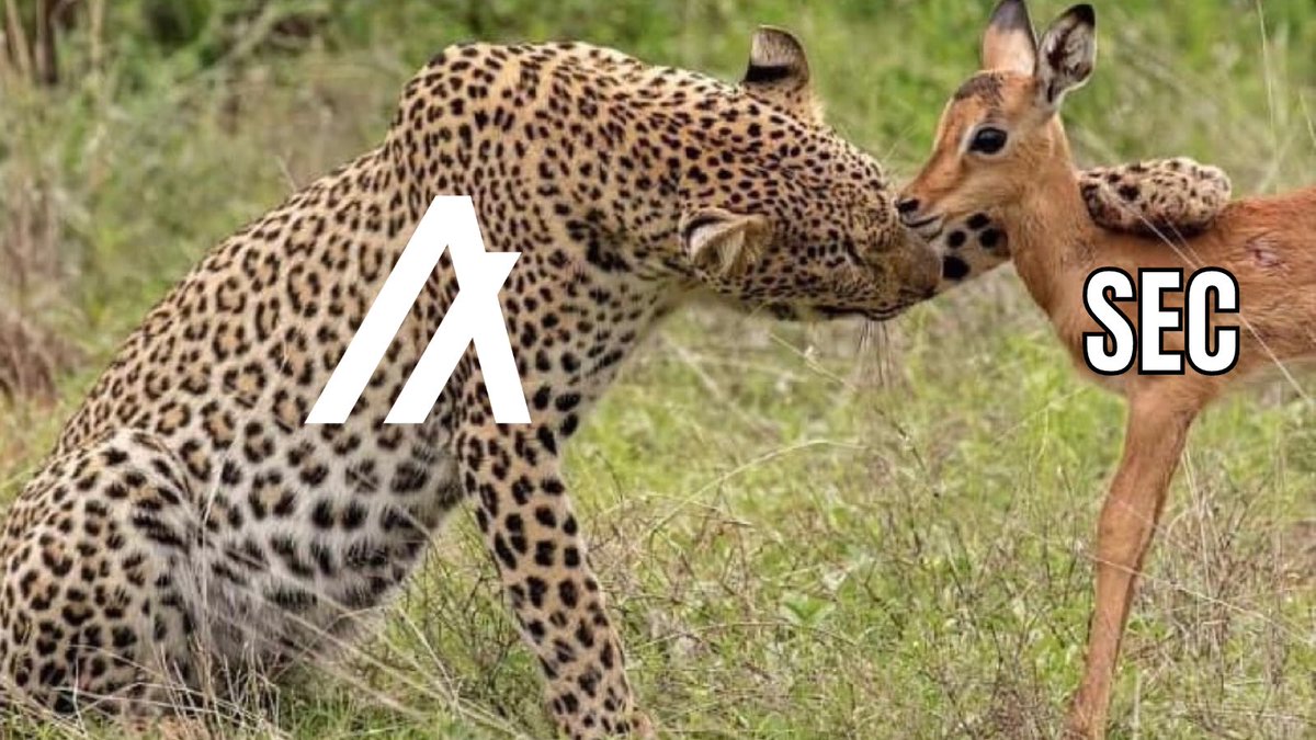 No Algorand in the Coinbase lawsuit? Weird. 

($Algo after Kraken suit filed) 😏