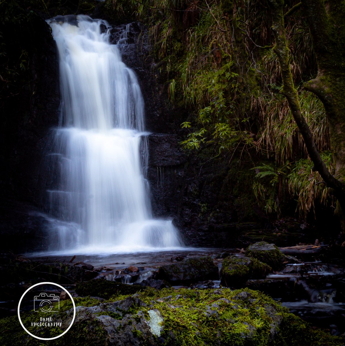 Back at Nant Y Ffrith. Such a peaceful place, and a pretty epic waterfall!!

#landscapeoftheday #landscape_capture #landscapephotos #landscapes 
 #landscape_captures  #landscape_lovers  #bestukpics  #explore_britain_ #gloriousbritain #ukscenery #topukphoto #scenicbritain
#igshotz