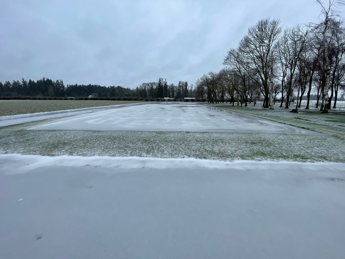 Pure Seed tweet media