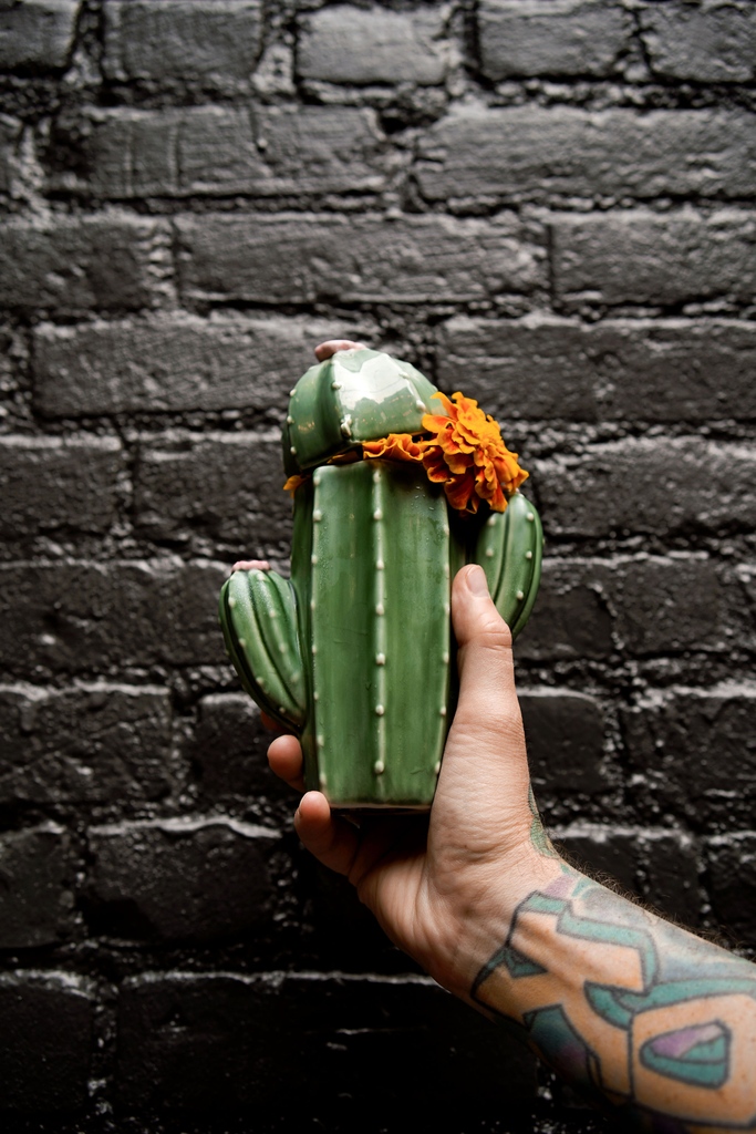 When a thirsty otherworldly visitor with a fondness for the untamed American frontier stumbles upon a bar, what do you hand them?

Behold! 🌵 - Cactus Juice

(vodka, gin, cucumber, mint, lime, pickle citric)