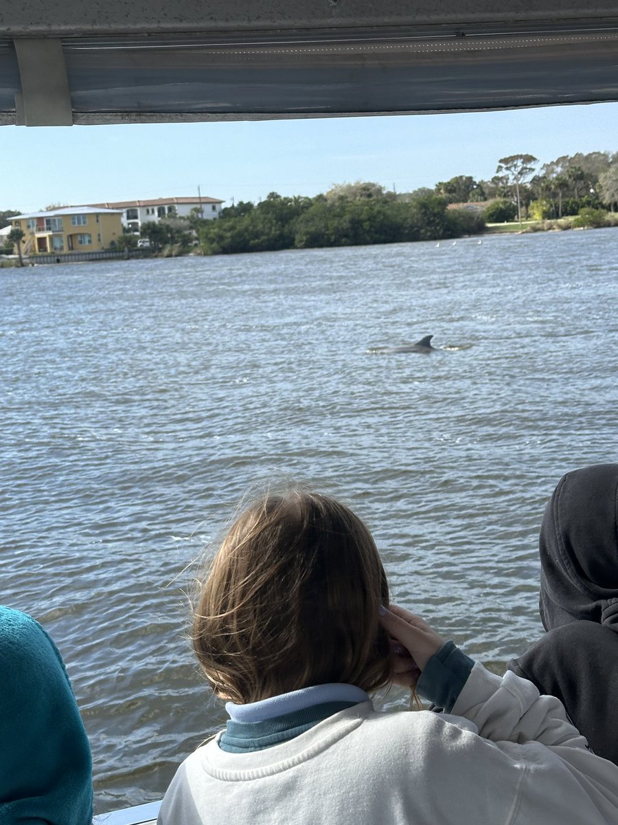 It was a chilly BUT fun day on the lagoon! Lots of marine animal sightings for 3rd grade today 🐬🪿🐠⚓️🌴🏝️#schoolofmarinescience @JeramyKeen @MrsRouxRocks @IRCSchools