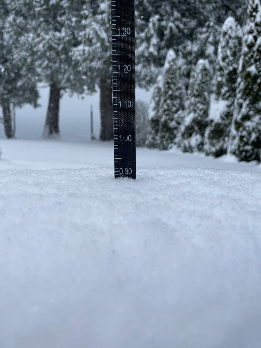 KClarkWx's tweet image. 9.4” now ❄️ with the back edge of the snow clearing Blaine. #wawx #komonews