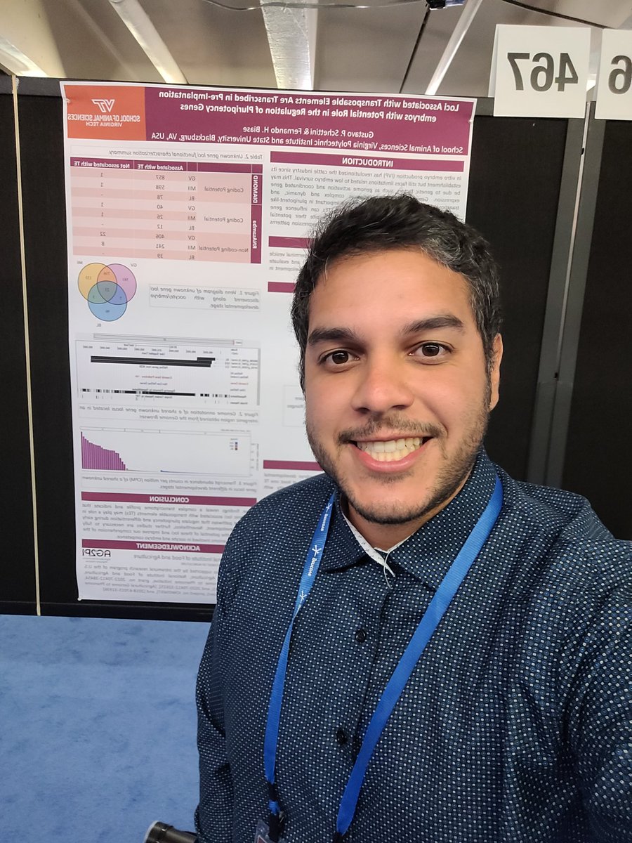 Gustavo Schettini tweet media