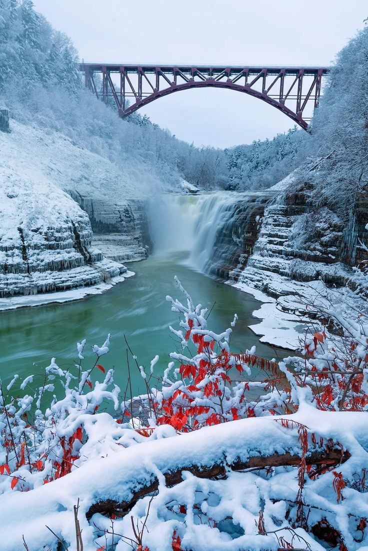 Picture Planet 🇧🇷🦂 tweet media