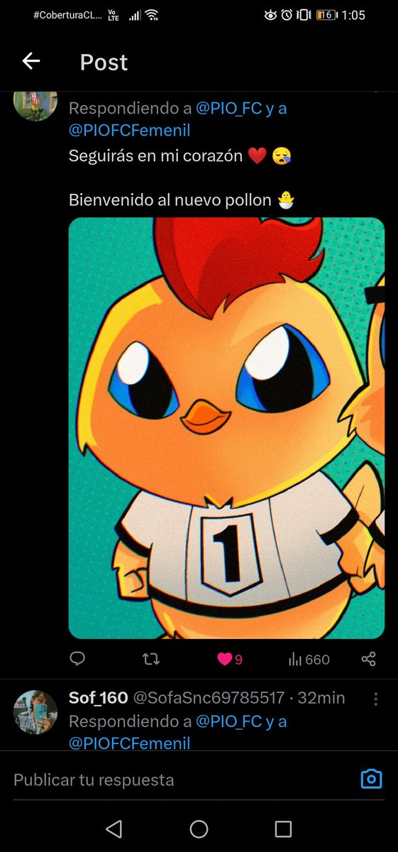 andreamayas's tweet photo. Ese pollito estaba muy lindo 😭 https://t.co/CsKJYF4dCS