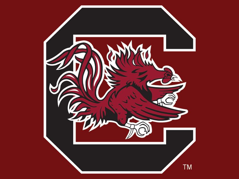 After an amazing conversation with @ROBERTSON_9TWO I have received A Offer From The University Of South Carolina @CoachBatts @CoachDan_Y @CoachBrownDB @FBConcordiaPrep
