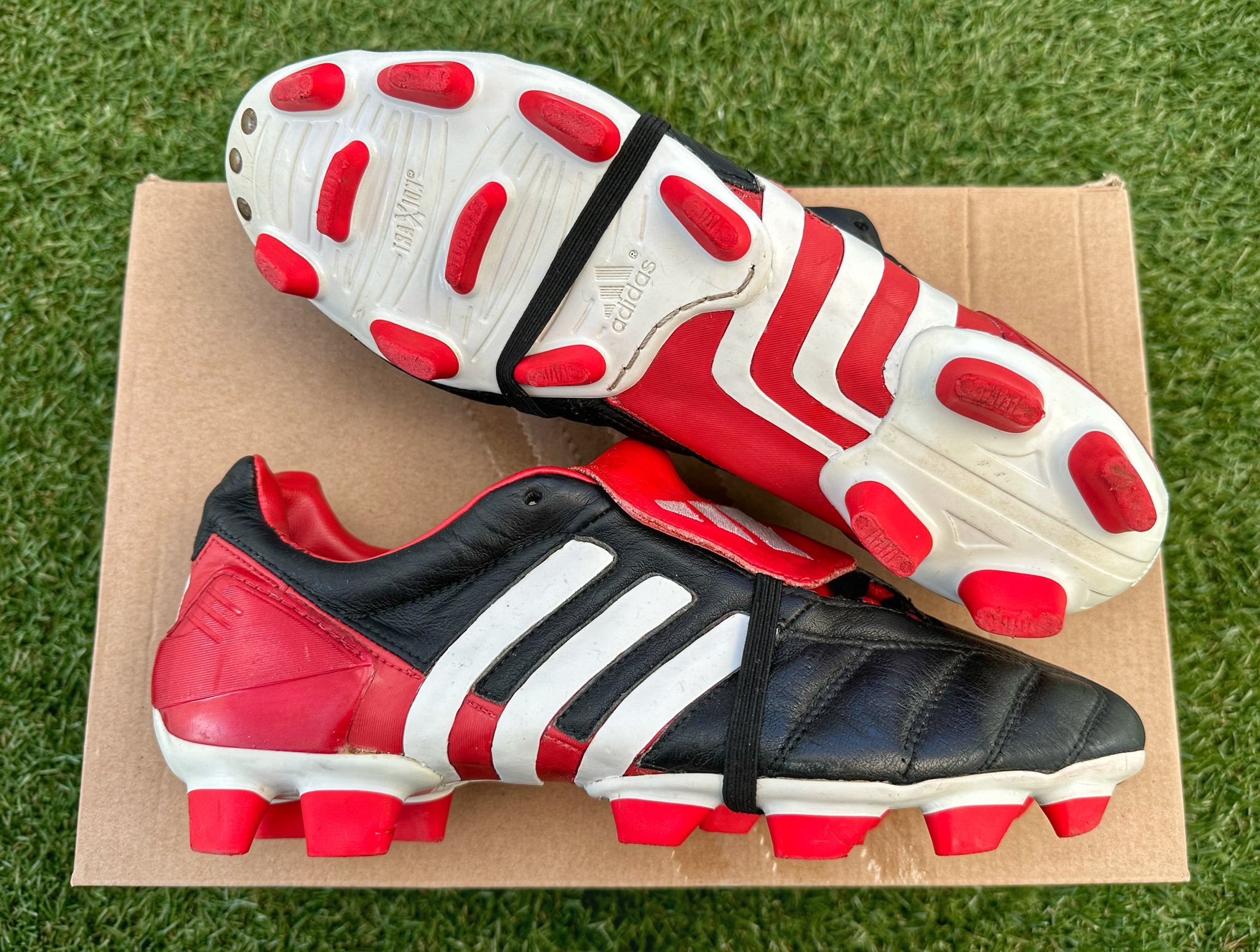 Predator mania shop 219