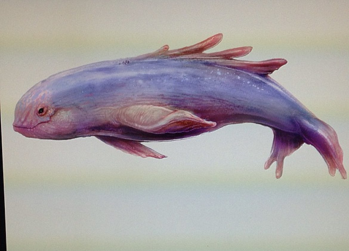 Eli Libson tweet media